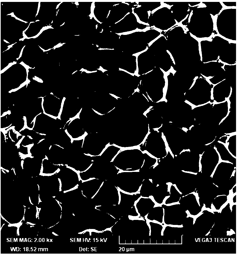 Application of ion liquid block polymer in supercritical carbon dioxide microcellular foaming