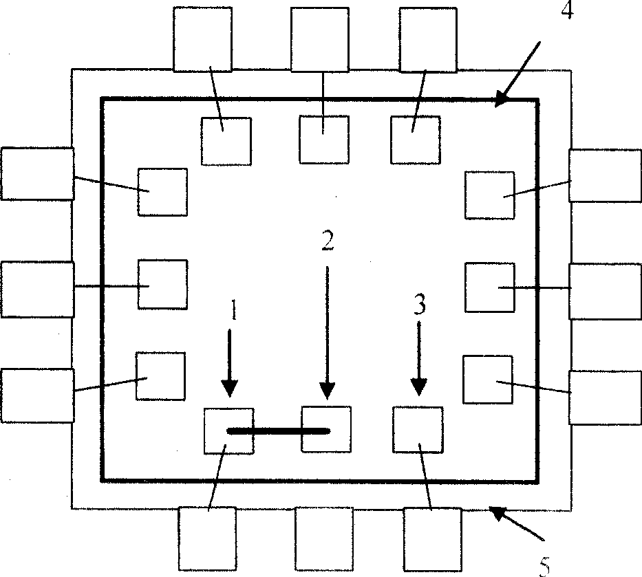 Treat method of information safety IC directing against encryption and decryption operation