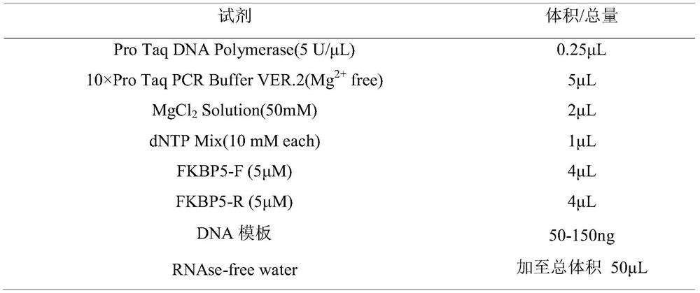 FKBP5 gene methylation detection primer and kit based on pyrosequencing technology