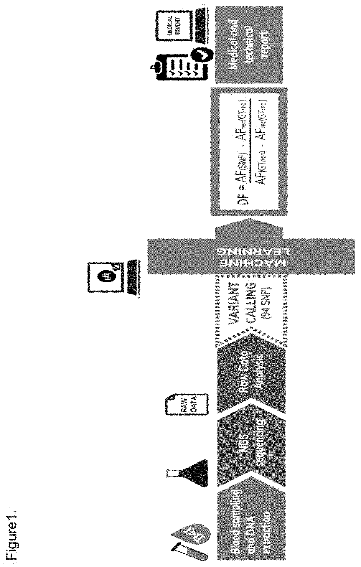 Use of cfdna fragments as biomarkers in patients after organ transplantation