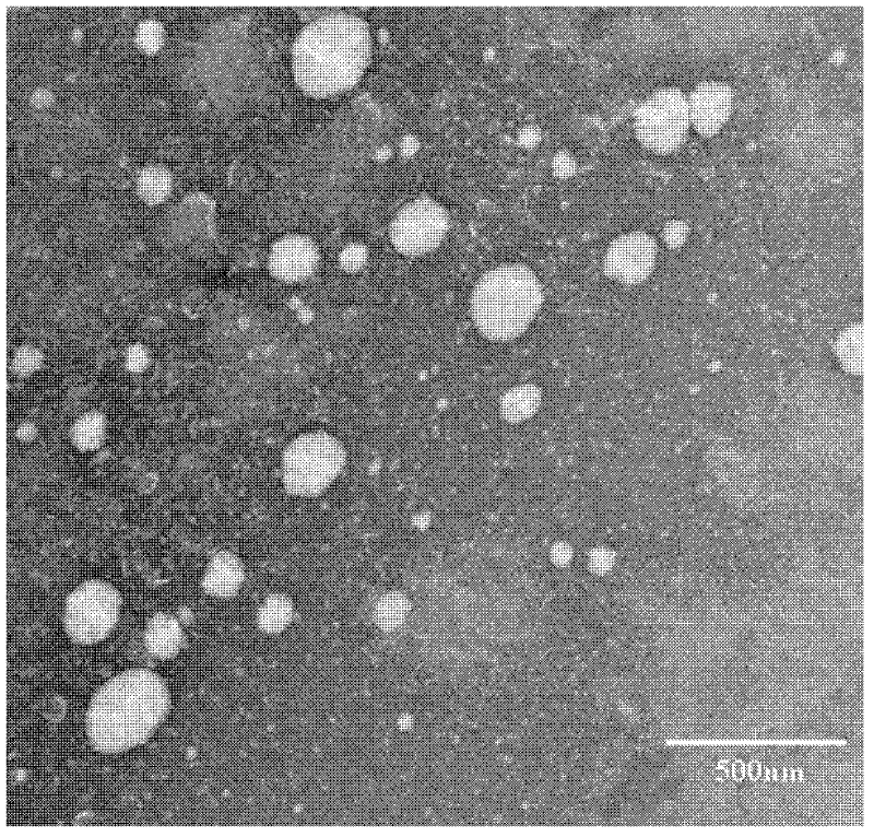 Preparation method of polypeptide/proteinic drug nanoparticle with high drug loading and high encapsulation efficiency