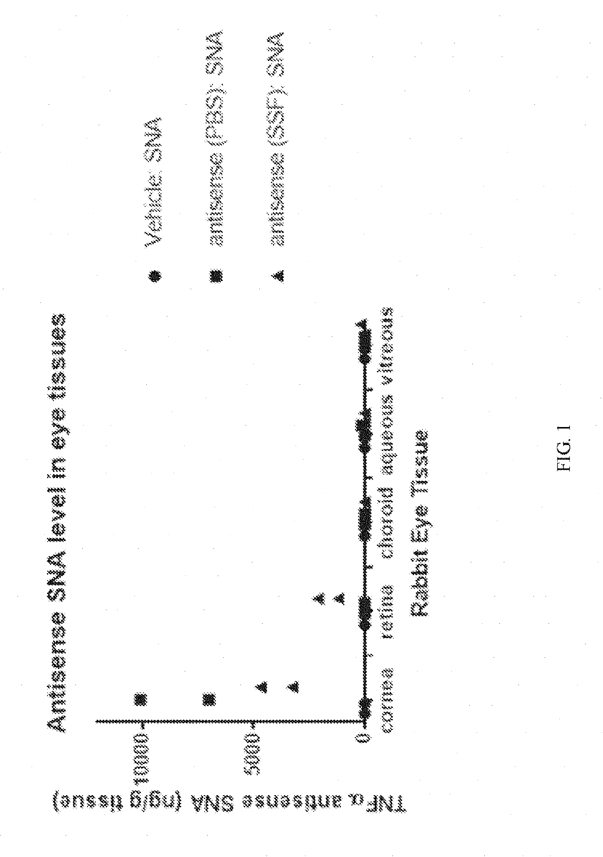 Topical administration of therapeutic agents and oligonucleotide formulations