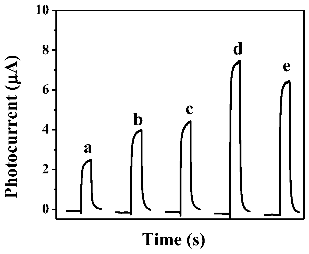 Preparation method and application of bismuth molybdate/boron nitrogen doped graphene photoelectric functional material