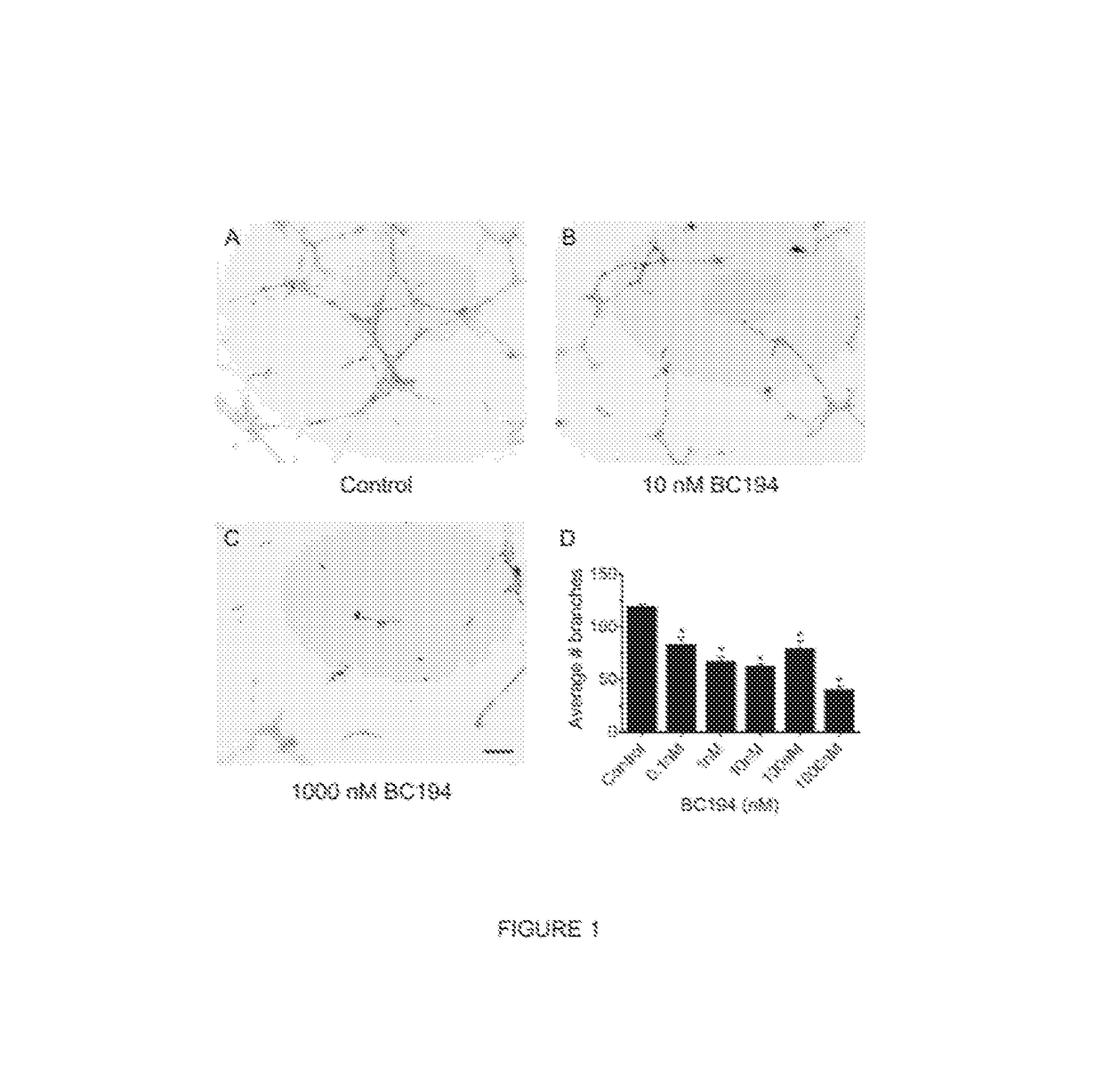 Methods and compounds for increasing threonyl-tRNA synthetase activity