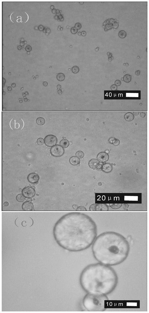 A kind of nano silicon dioxide/decomposition enzyme/polycaprolactone composite microsphere and its preparation method and application