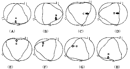 Rotor type external combustion engine air cylinder and rotor type external combustion engine