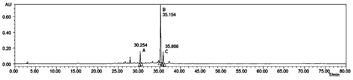 Codonopsis pilosula instant food and preparation method thereof