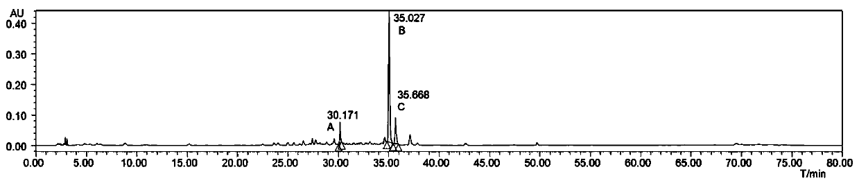 Codonopsis pilosula instant food and preparation method thereof