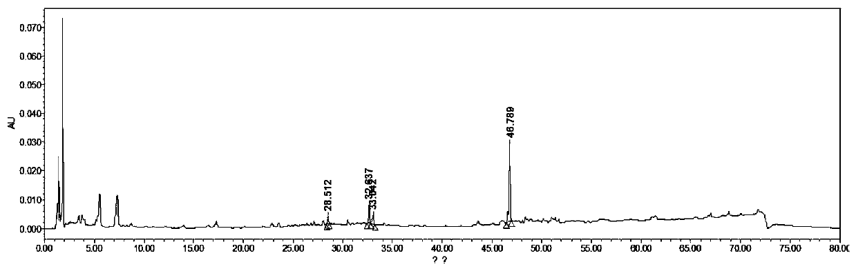 Codonopsis pilosula instant food and preparation method thereof