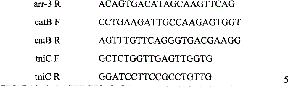 Novel integron In1289 containing multiple drug-resistant gene cassettes