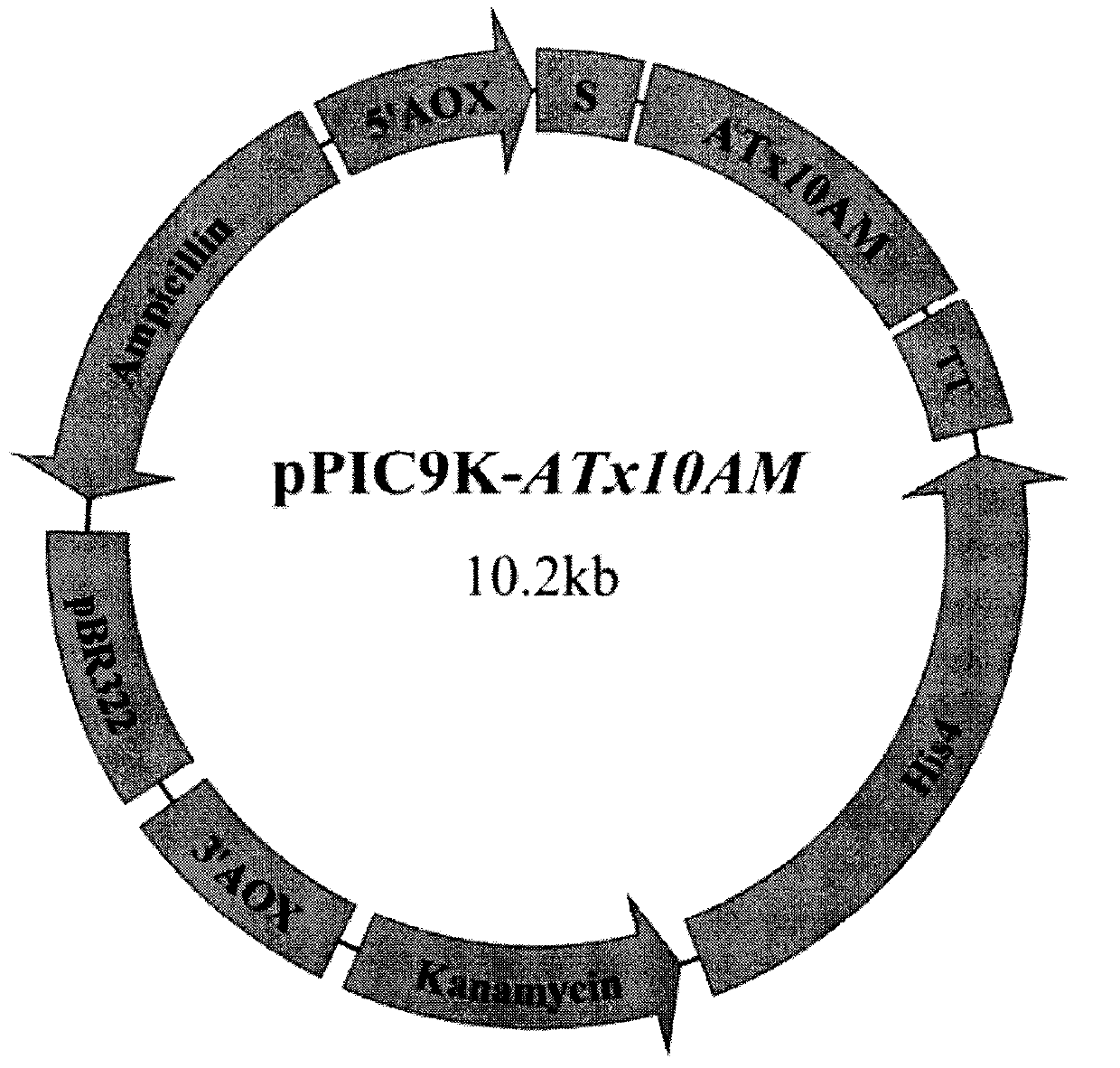 Method for improving thermal stability of GH10 xylanase through N-terminal replacement