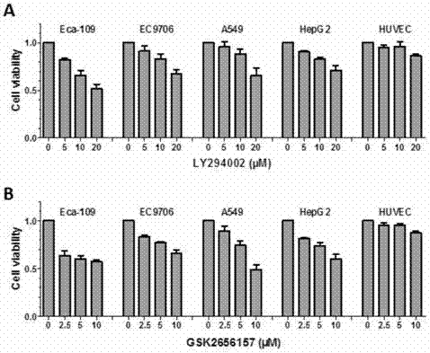 Pharmaceutical composition containing PI3K inhibitor and PERK inhibitor, and applications thereof