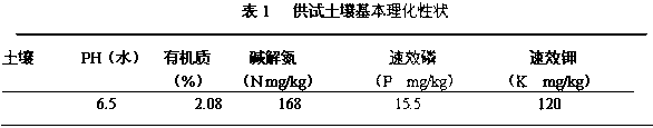 A kind of bio-organic fertilizer of traditional Chinese medicine dregs and preparation method thereof