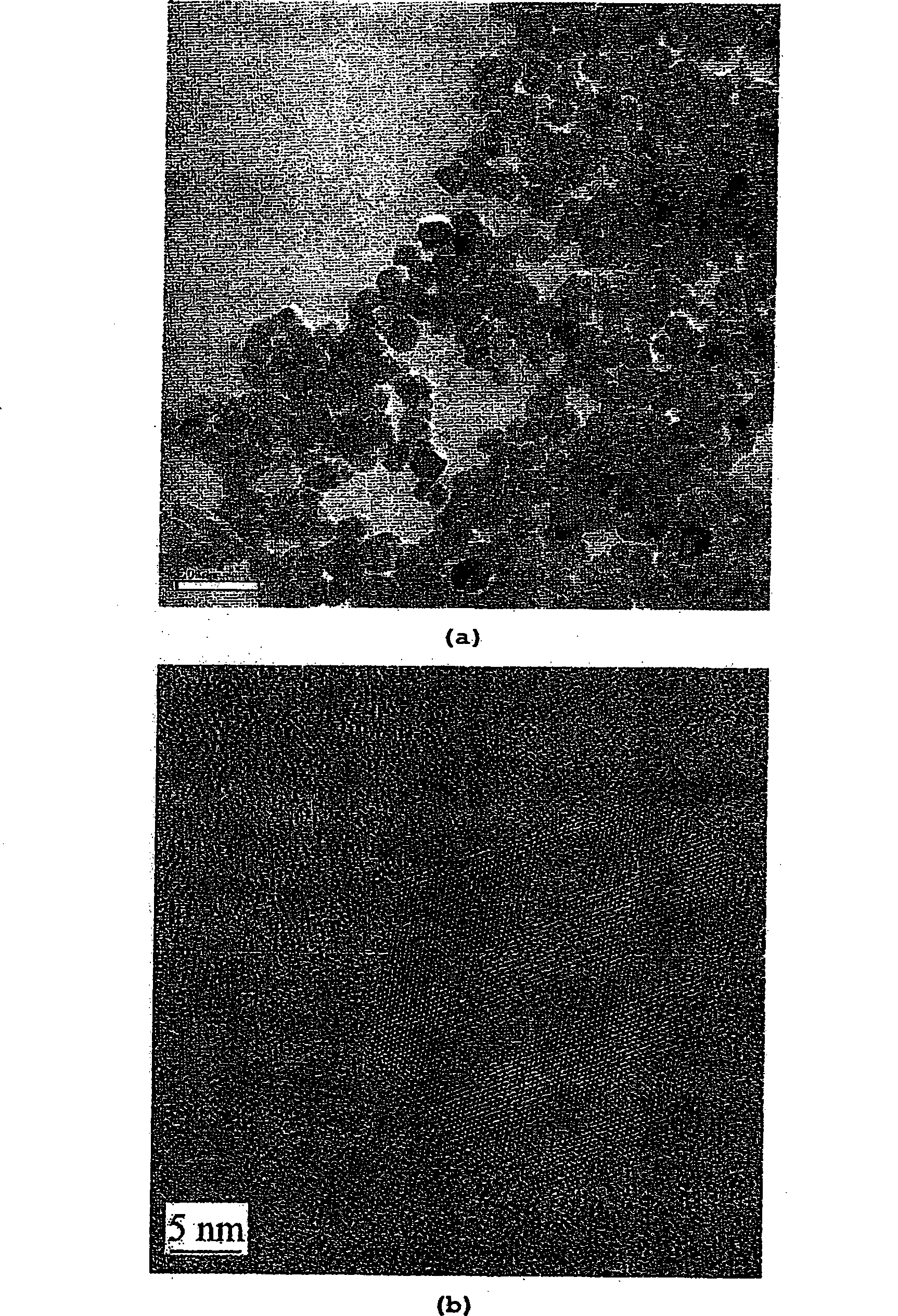 Process for making nano-sized and micro-sized precipitate particles