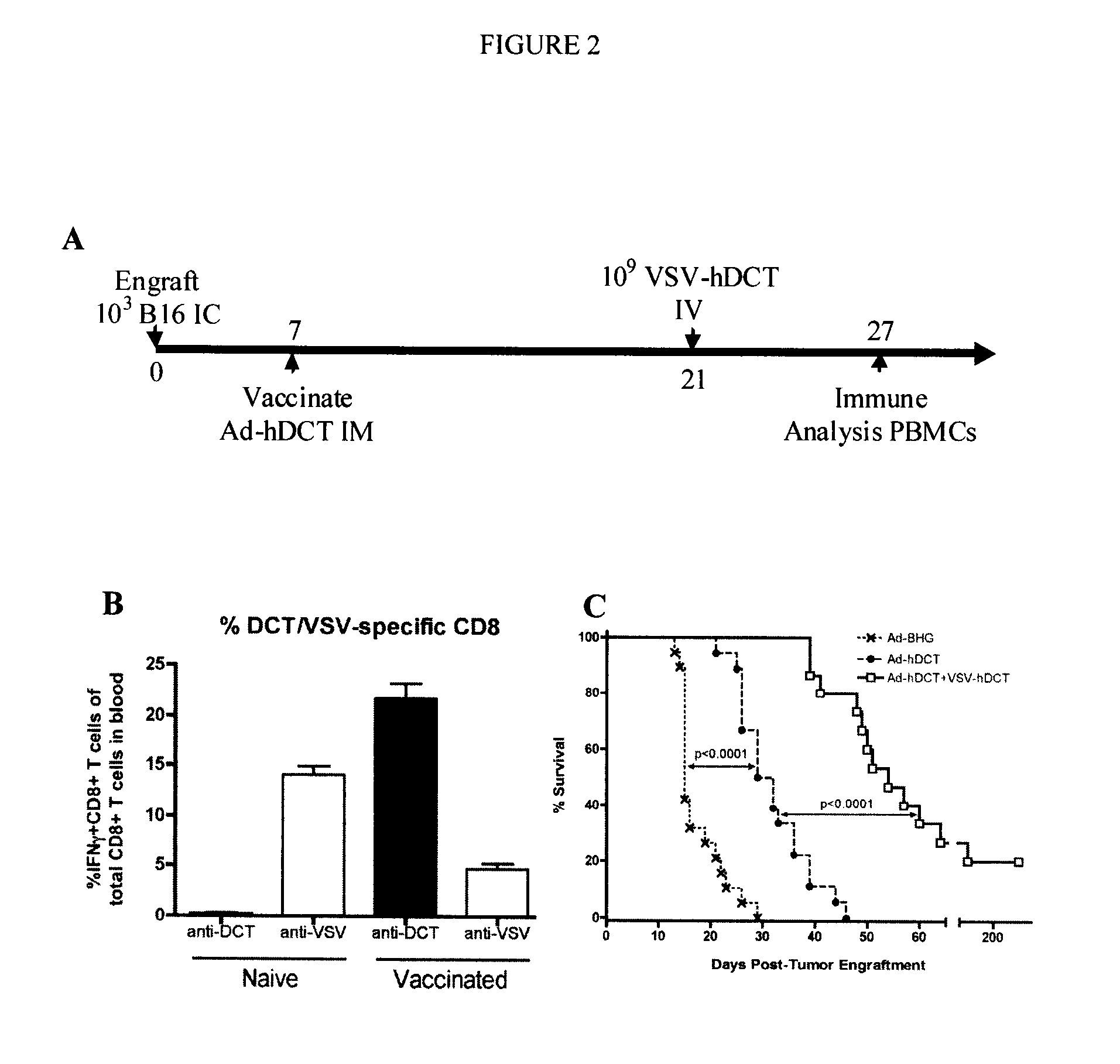 Vaccination methods