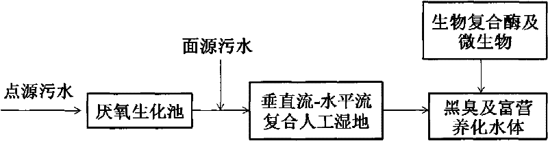 Black and odorous and eutrophication water body biological and ecological remediation and treatment process