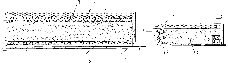 Black and odorous and eutrophication water body biological and ecological remediation and treatment process