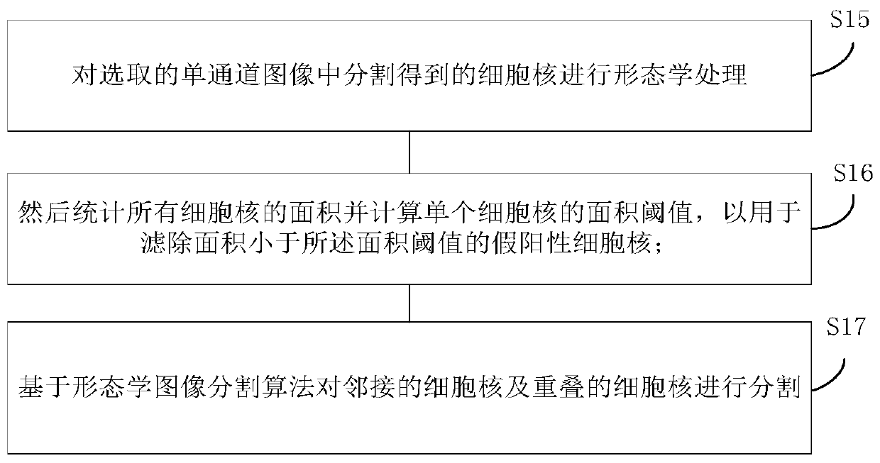 Segmentation method, device and terminal for epithelial cell nucleus in prostate cancer pathological image