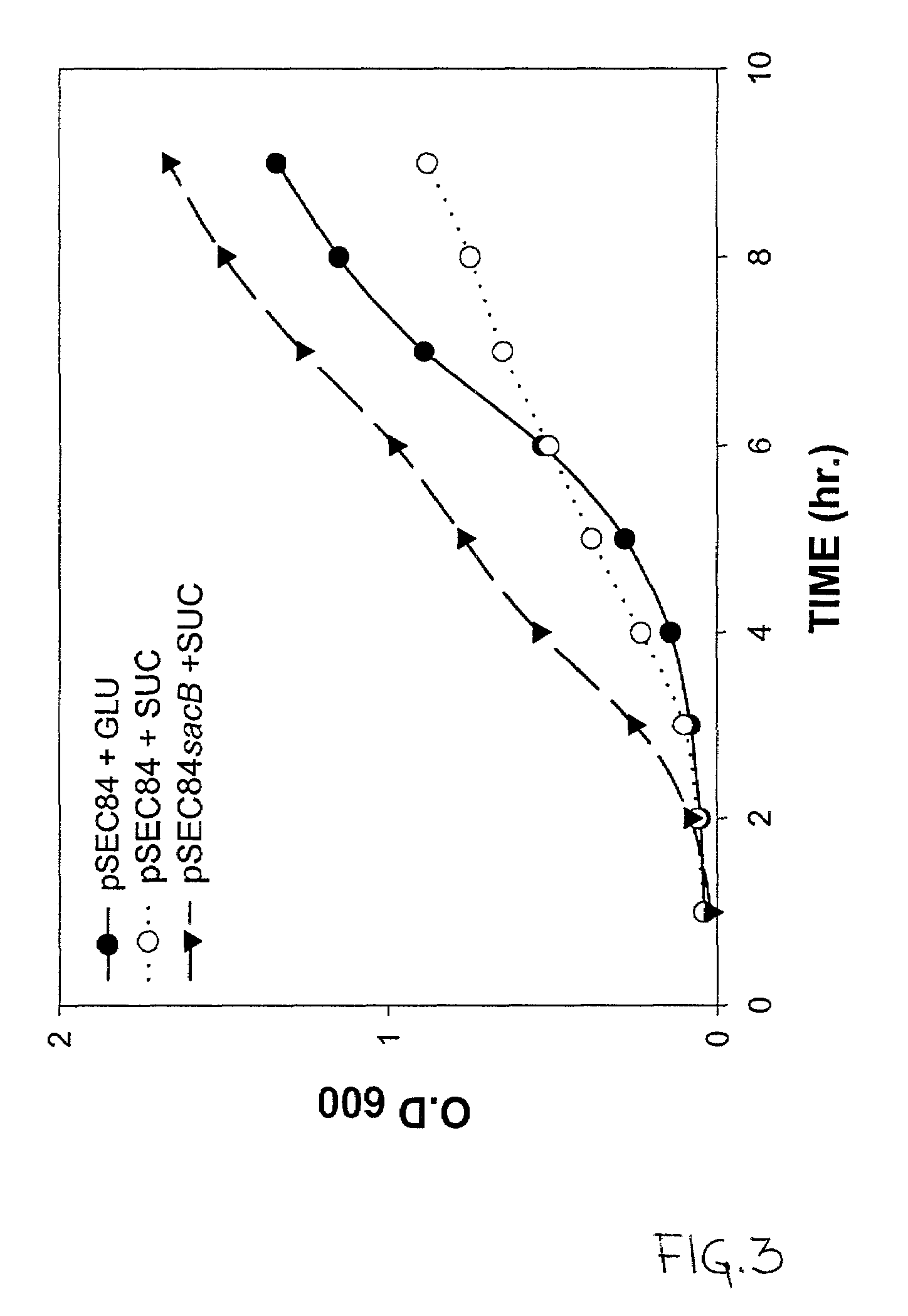 Use of ClyA hemolysin for excretion of proteins