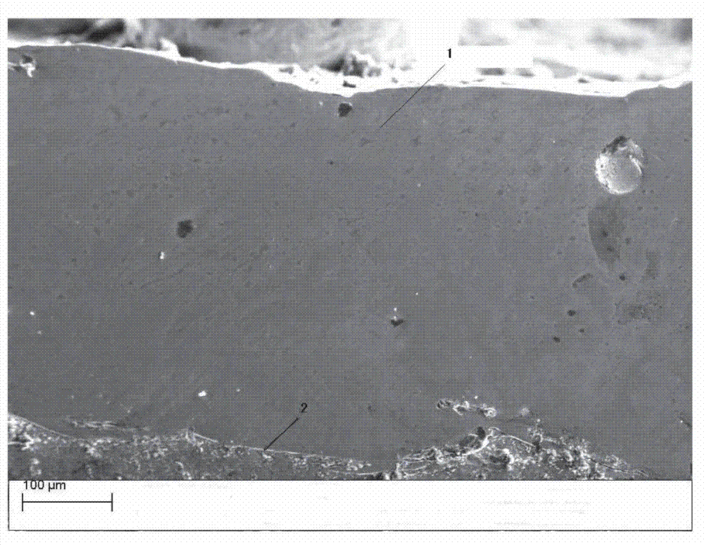 Powder for wear-resistant anti-corrosion protection of water wall tube and preparation method