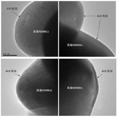 Preparation method of atomic layer deposition coated high-nickel ternary positive electrode material