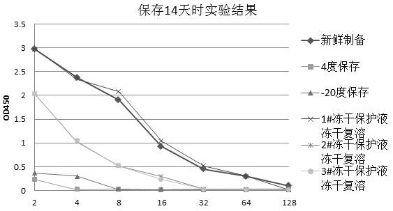 Freeze-drying protection liquid, freeze-drying method and application of erythrocyte membrane fragment