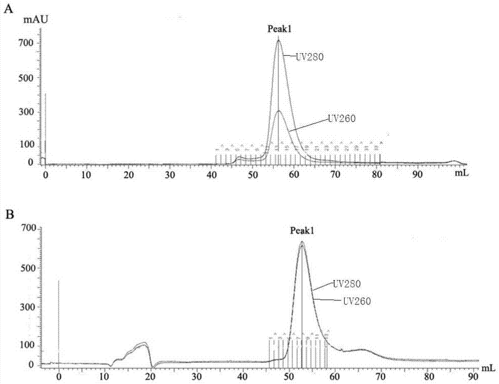 Method for purifying or crystallizing influenza virus rna polymerase