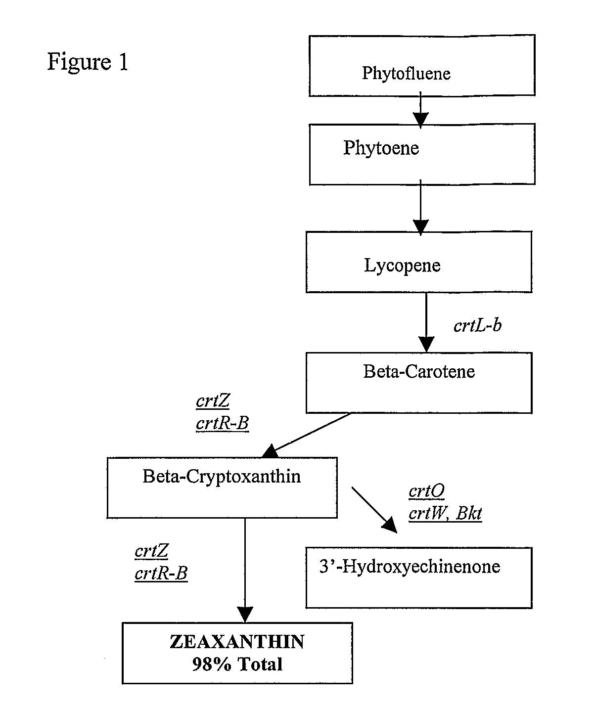 Biological Production of Zeaxanthin and Carotenoid Biosynthesis Control