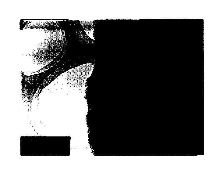 Method for covering silicon dioxide film on aluminate series long afterglow fluorescent powder surface