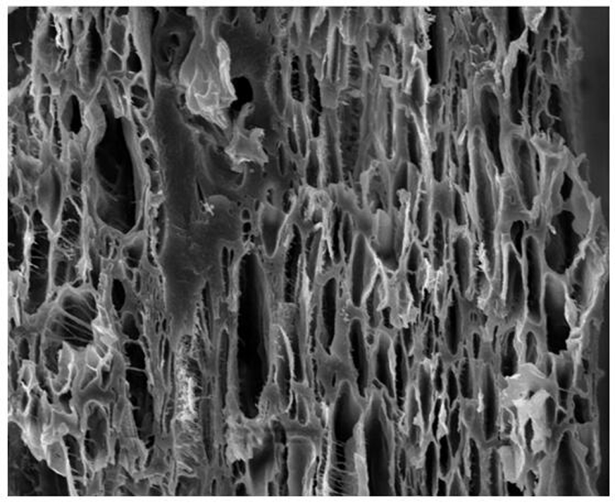 Sodium hyaluronate dressing containing icodextrin