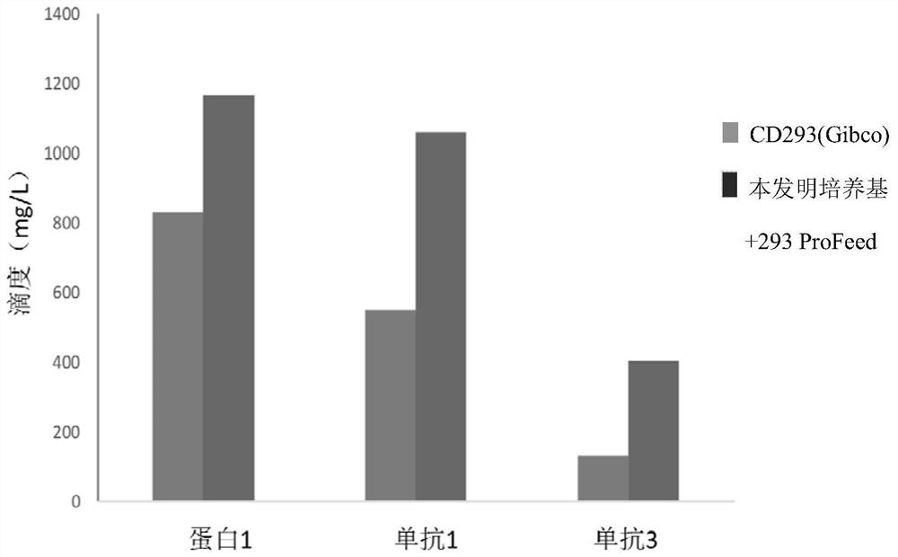 Serum-free medium for HEK293 cells