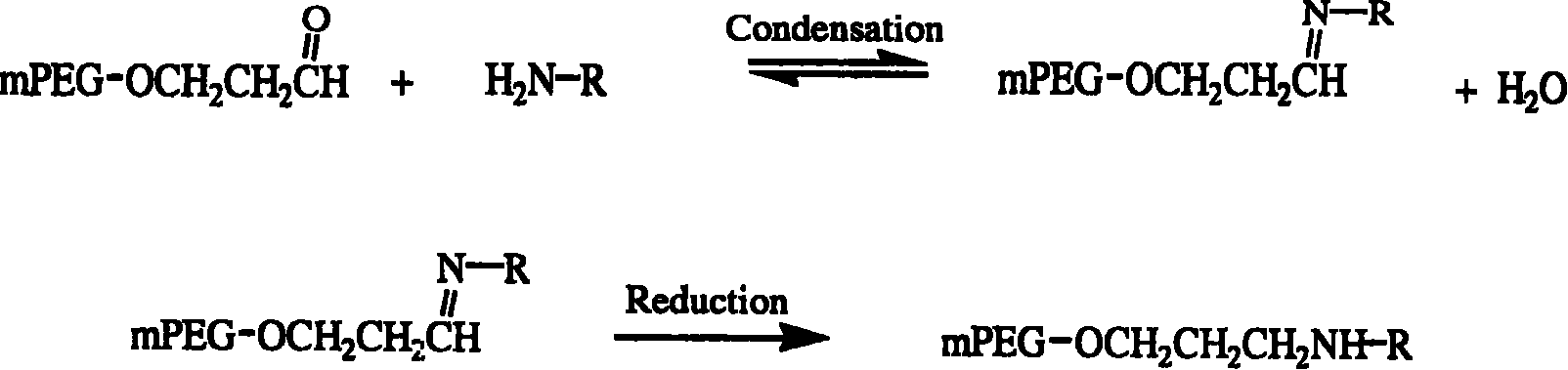 Polyethylene decorative nevin fibrinolytic enzyme and its preparation method