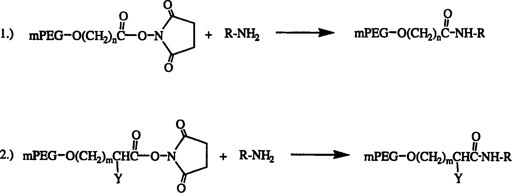 Polyethylene decorative nevin fibrinolytic enzyme and its preparation method