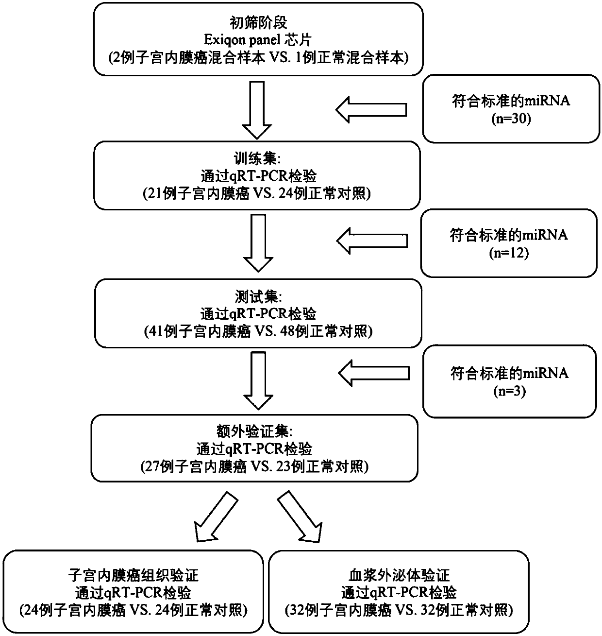 Circulating miRNA marker related to auxiliary diagnosis of endometrial cancers and application thereof