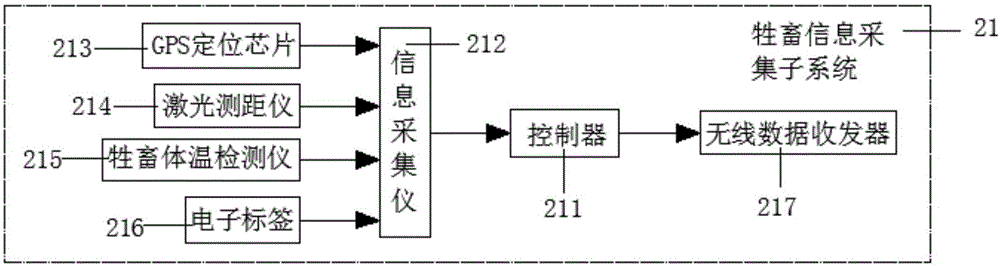 Wearable positioning device for realizing convenient livestock management