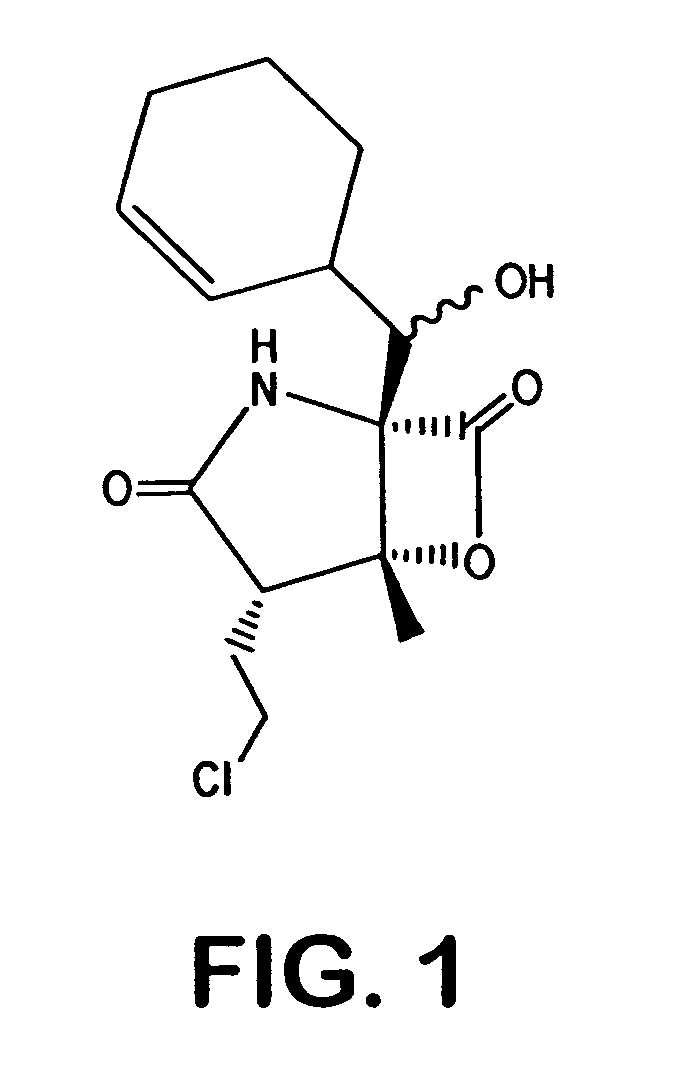 Salinosporamides and methods for use thereof