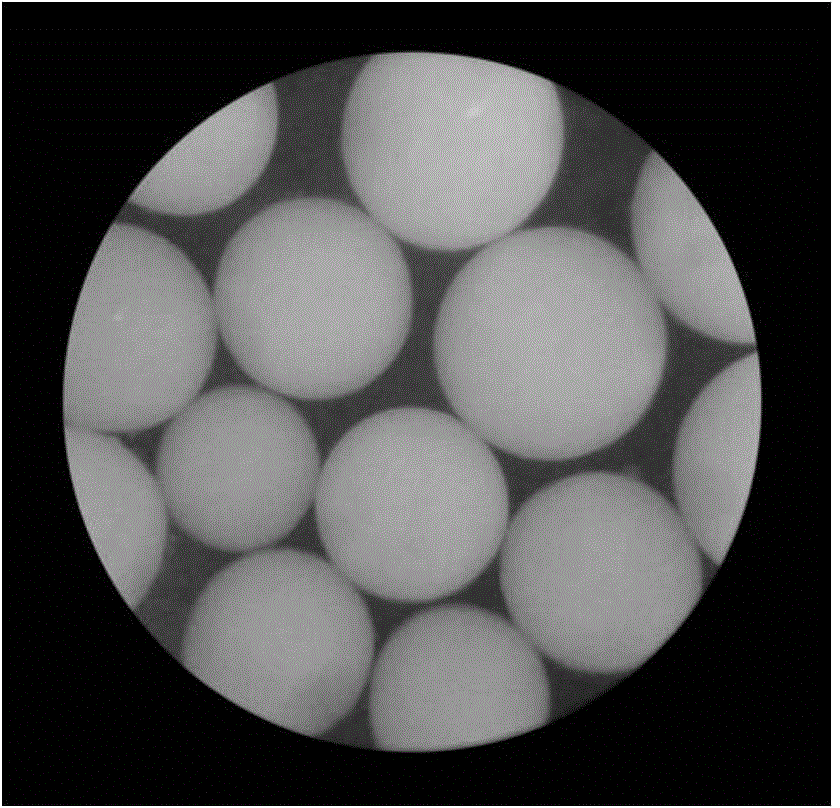 A kind of polyvinyl alcohol magnetic particle and its preparation method and application