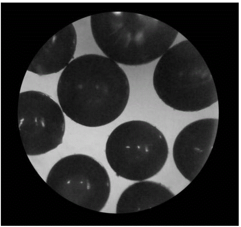 A kind of polyvinyl alcohol magnetic particle and its preparation method and application