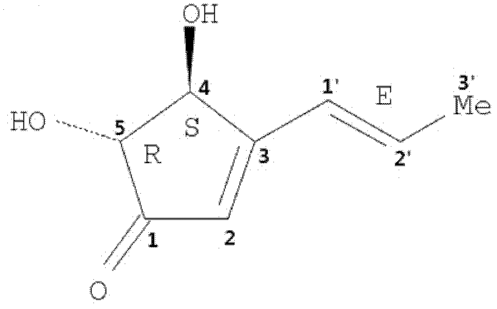 Symbiotic and epiphytic aspergillus terreus of sponge and use for preparation of (+)- terrein