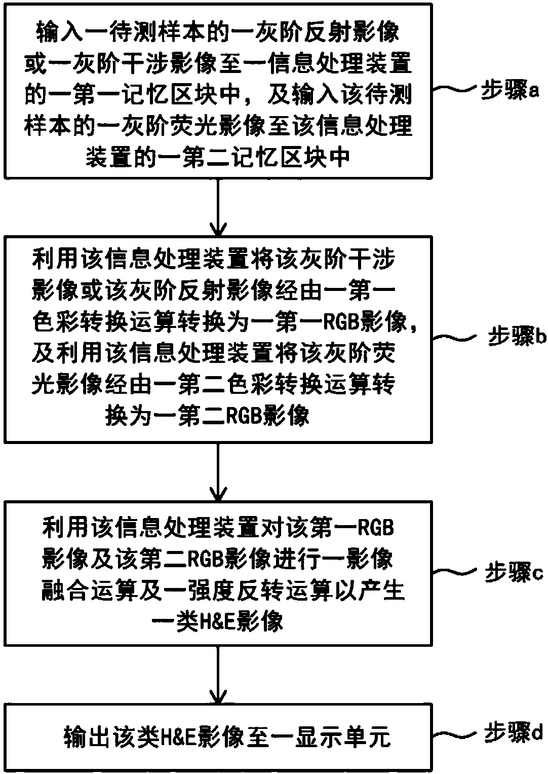 Image synthesis method for biological sample and optical system using the same