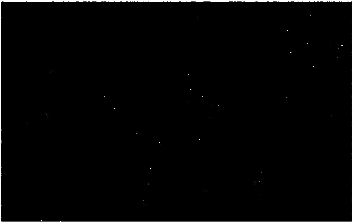 Image synthesis method for biological sample and optical system using the same