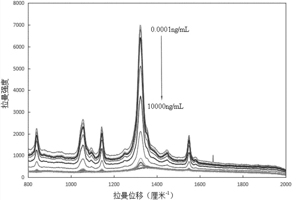 Method for performing supersensitive detection on fungaltoxin of DTNB mark-based gold@silver core-shell nanorod