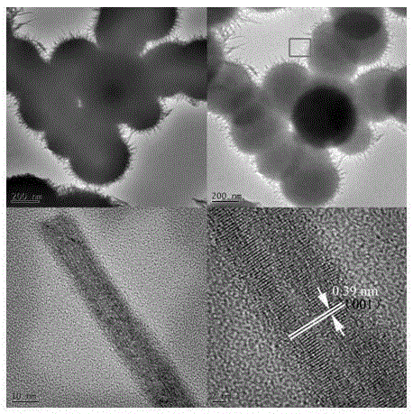 Preparation method of niobium (V) pentoxide urchin-like nano sphere and application of nano sphere as photocatalyst