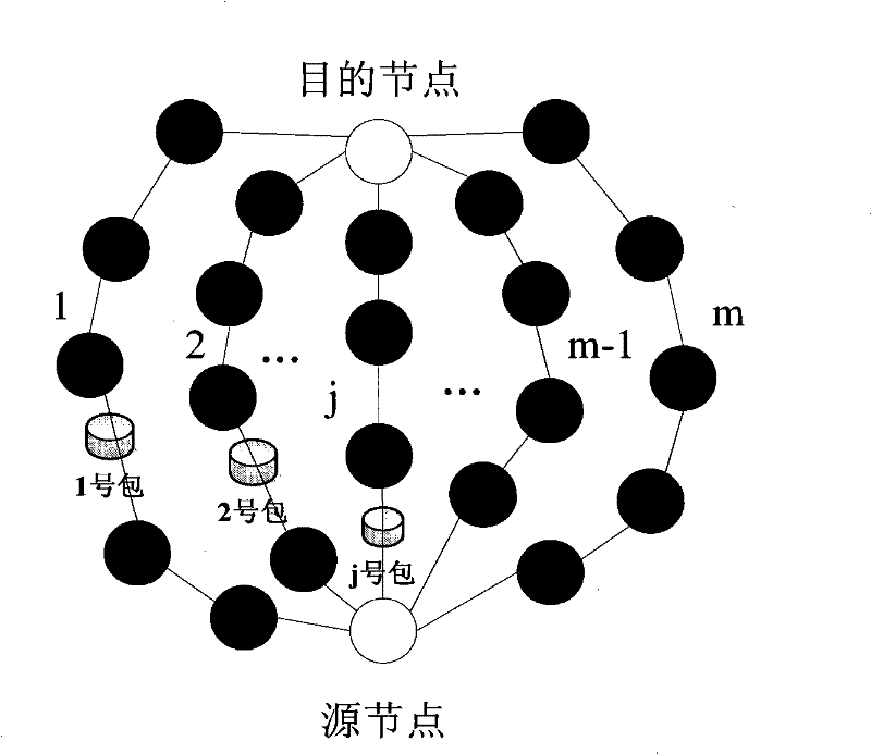 Multi-route establishment method and parallel data transmission method of wireless sensor network