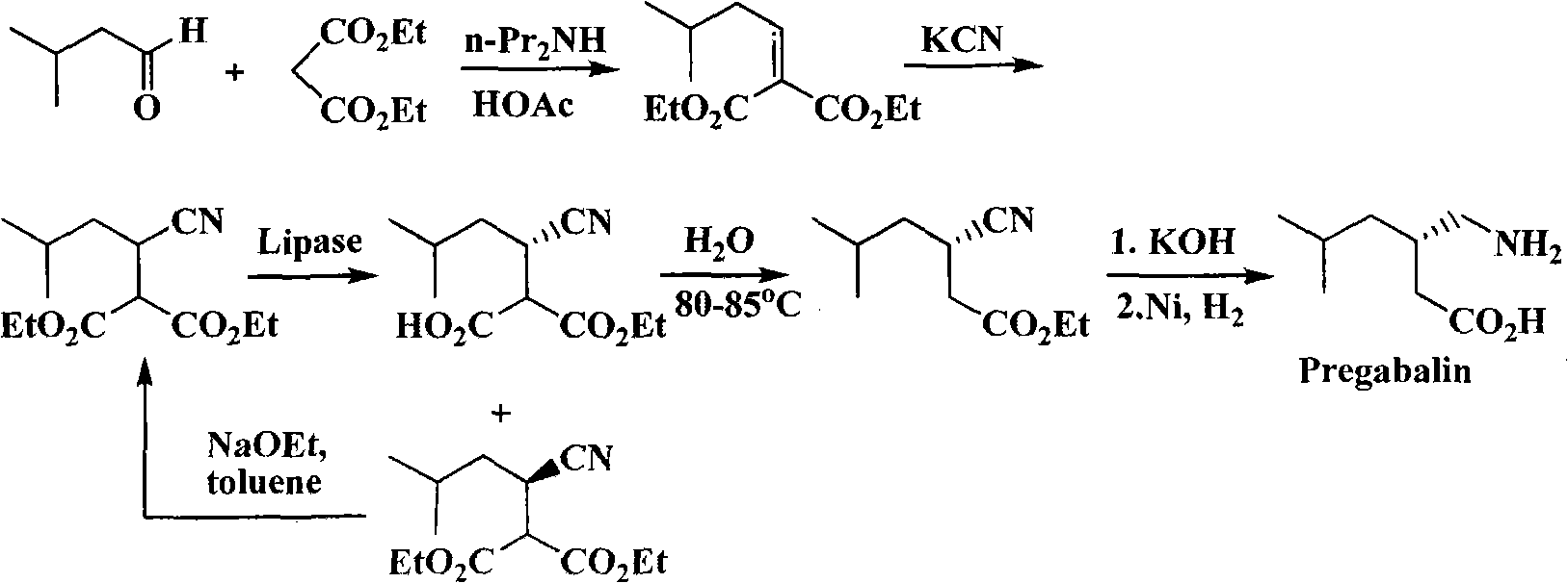 Preparation of pregabalin chiral intermediate with bio-enzyme method