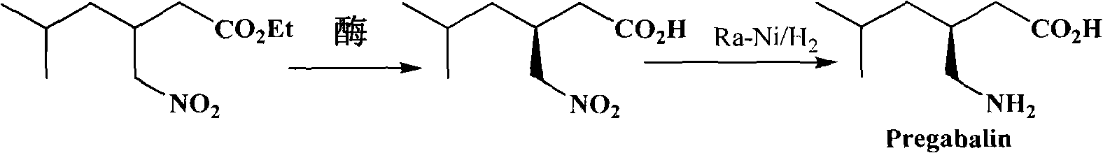 Preparation of pregabalin chiral intermediate with bio-enzyme method