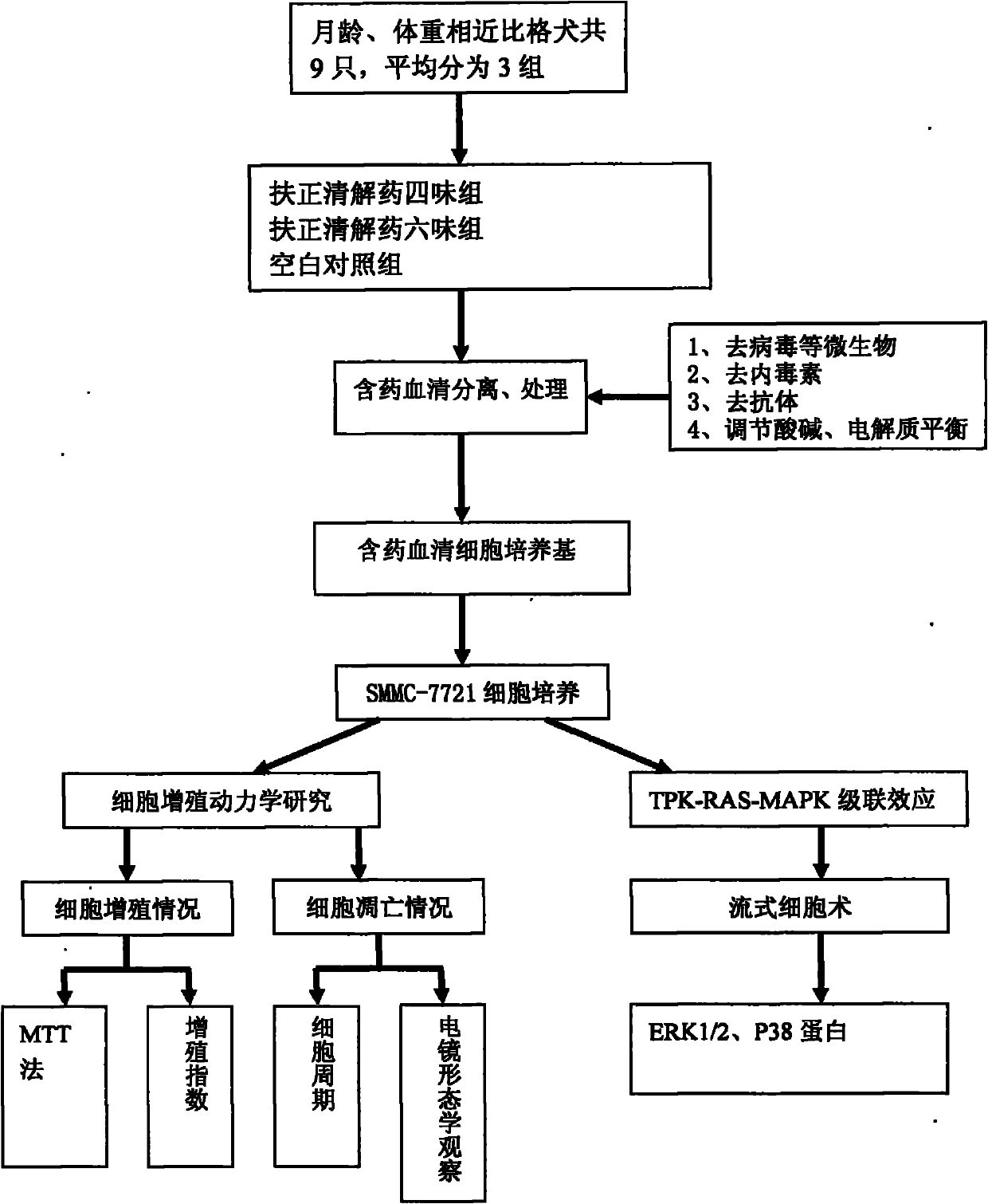 Traditional Chinese medicine for treating tumor of digestive tract, strengthening body resistance and removing summer-heat