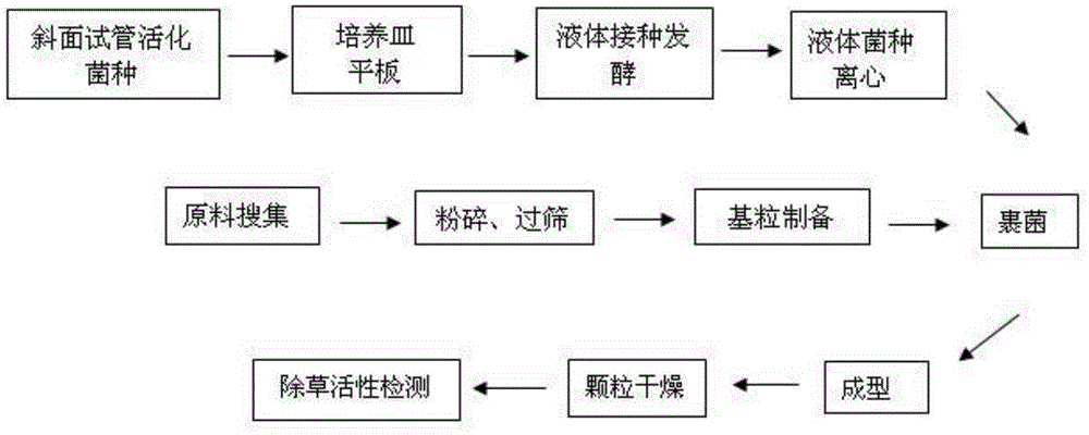 Biological weeding organic fertilizer, and preparation method and application thereof