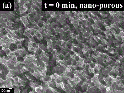 Method for forming inverted pyramid-shaped porous surface nano-texture on polysilicon and method for preparing short-wave enhanced solar cell