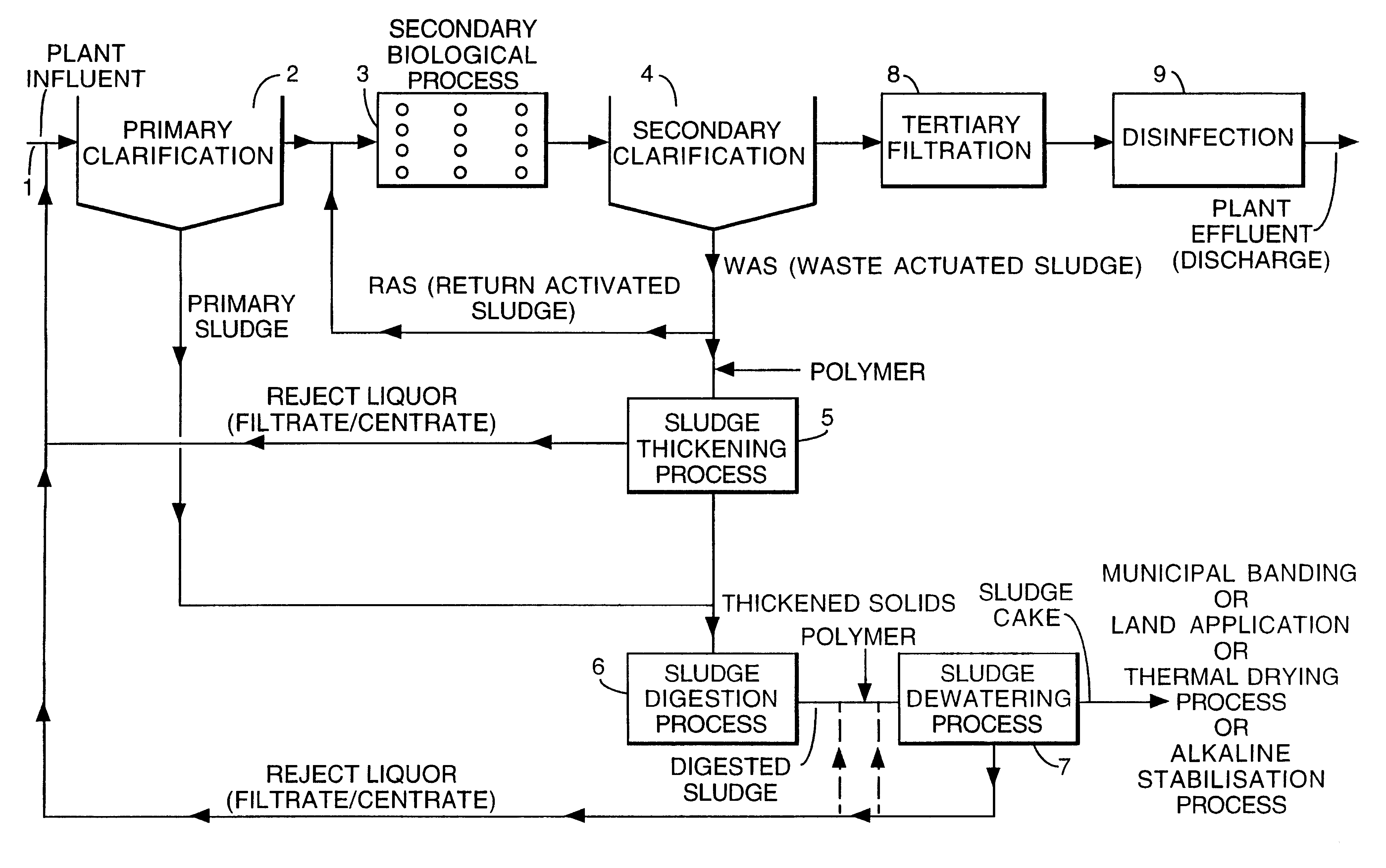 Dewatering of sewage sludge